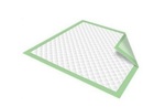 Healthline Disposable Waterproof Absorbent Underpads, 23X36, 150/Case, Green
